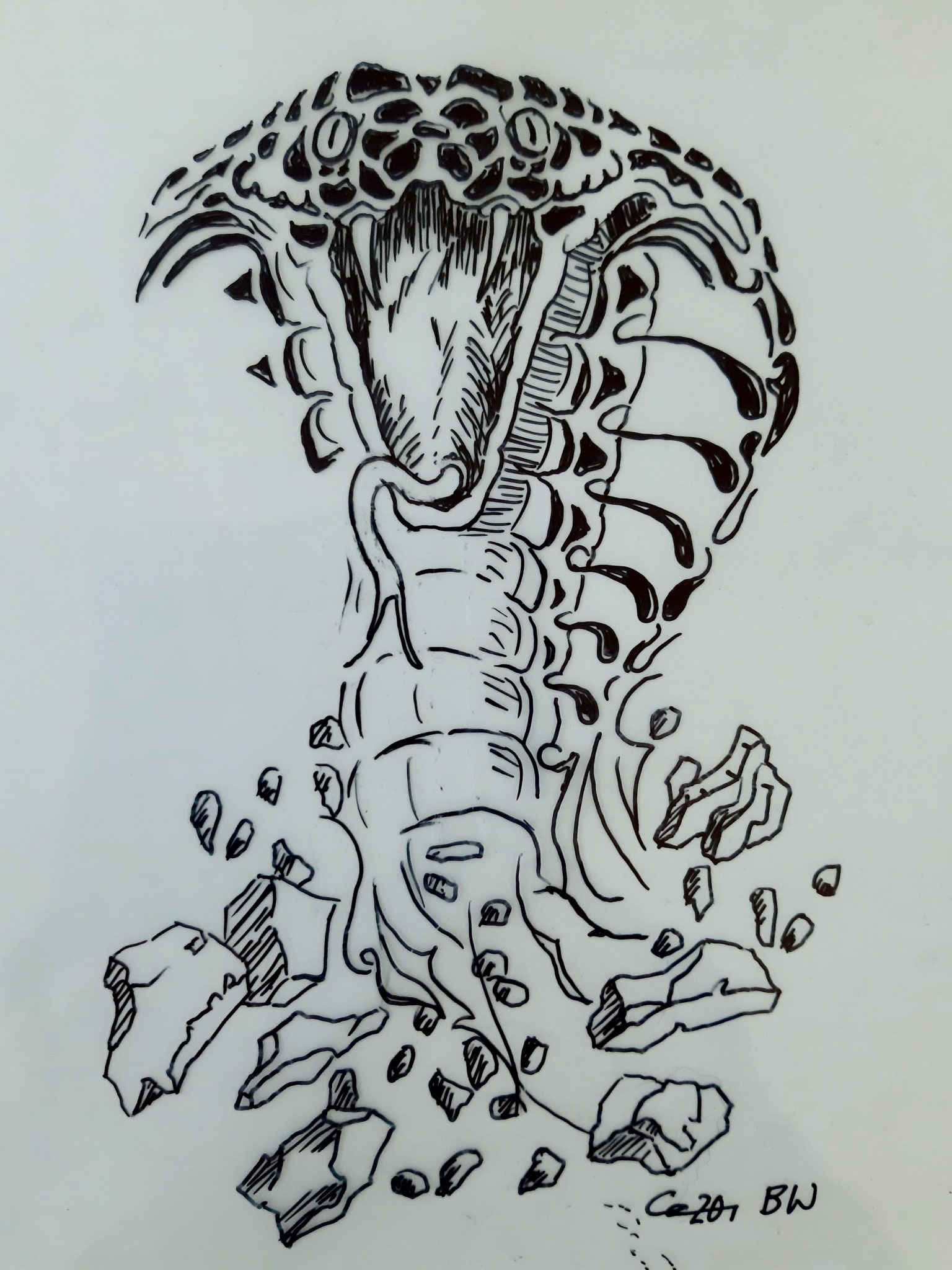 Phyton